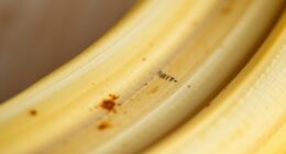 bananas brown enzymatic process