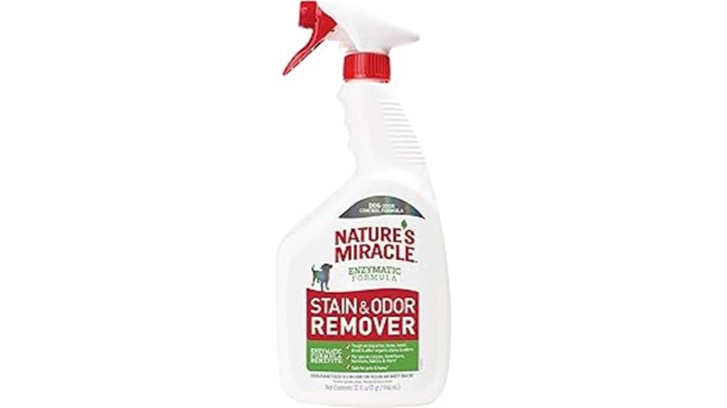 dog stain odor remover