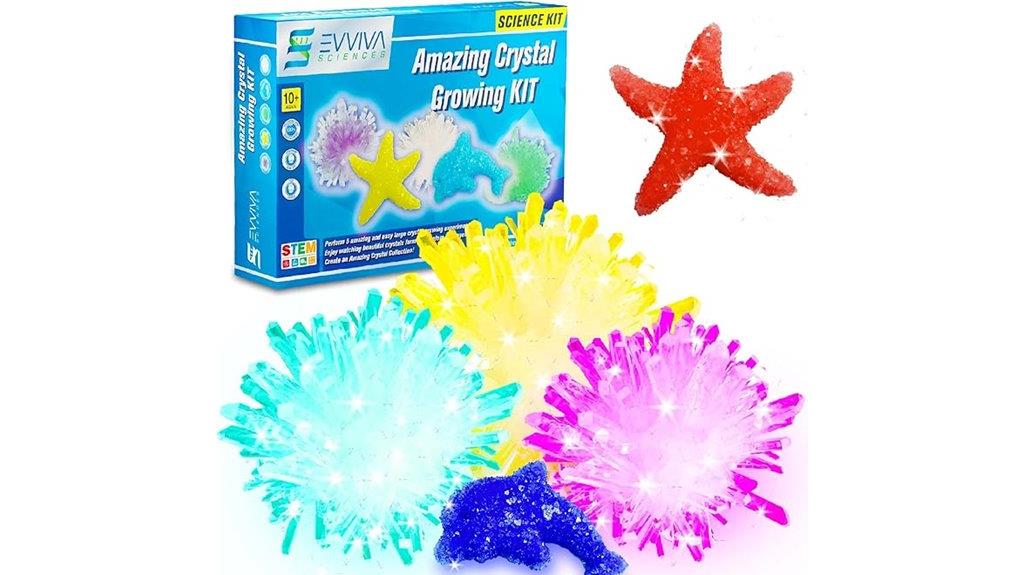 kids crystal growing kit