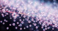 molecular collisions dictate rates