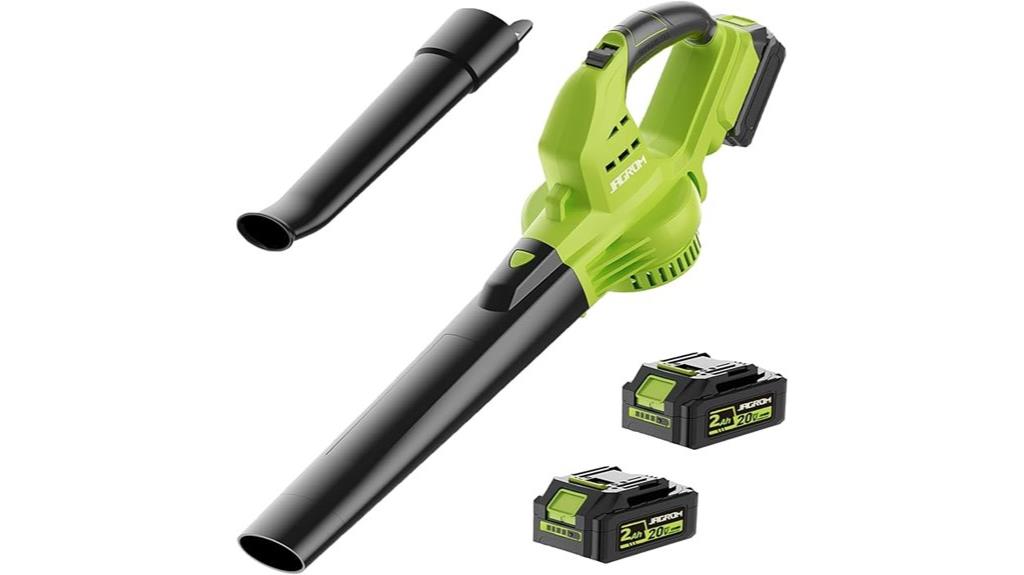 cordless blower 2 batteries