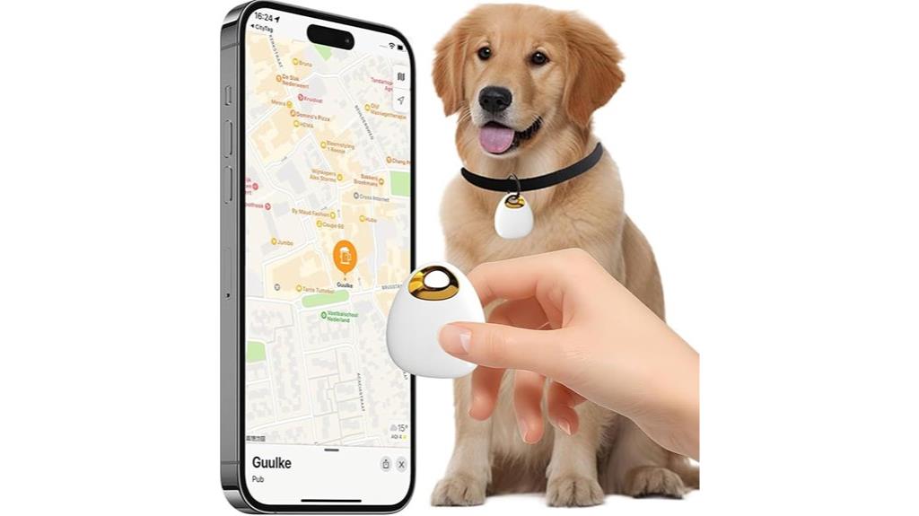 dog and cat gps tracker