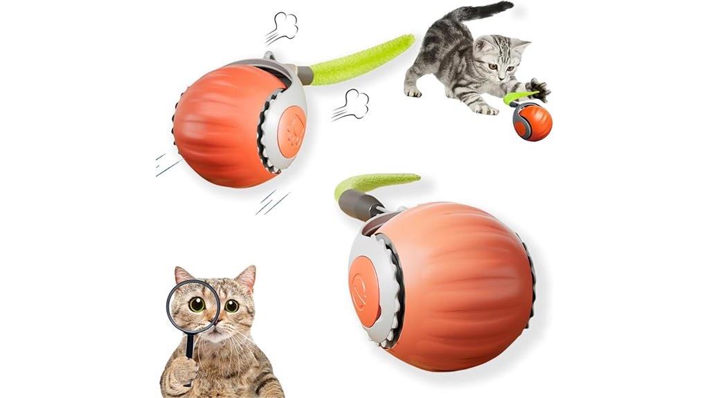 enhanced interactive cat toy