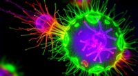 imaging chemical reactions