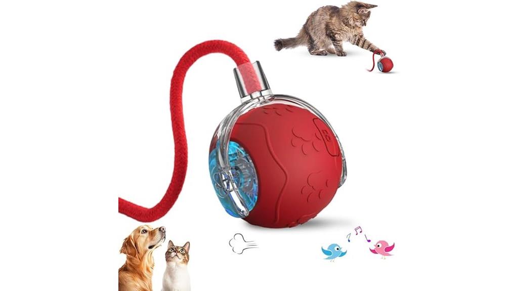 rechargeable smart cat toy