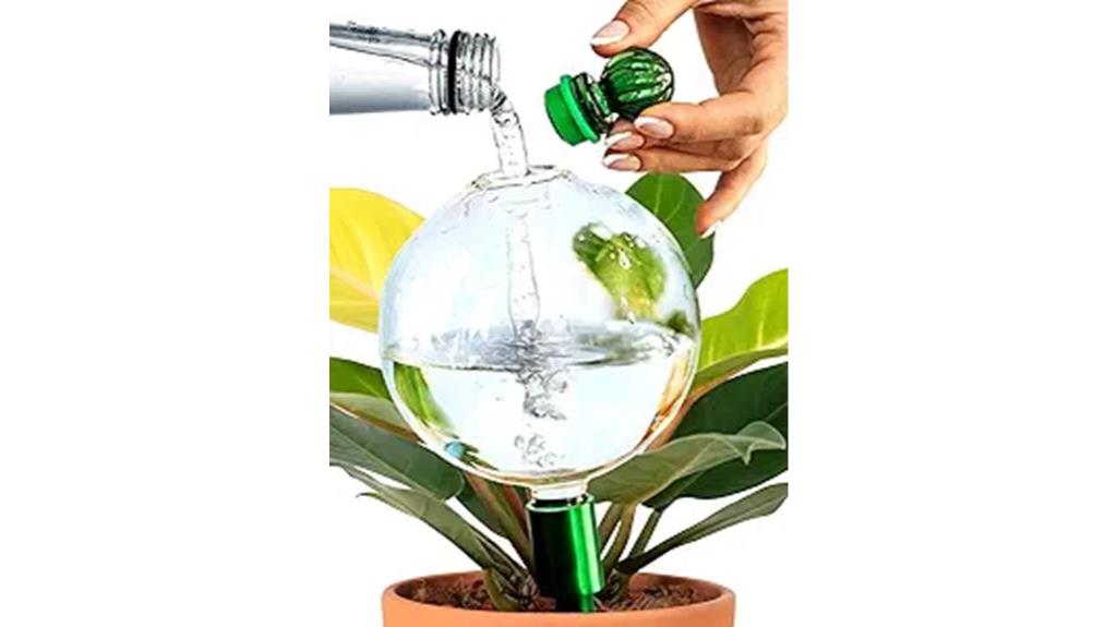 16 oz glass plant globes