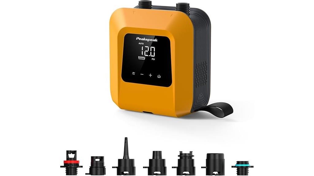 electric paddle pump with dual stage