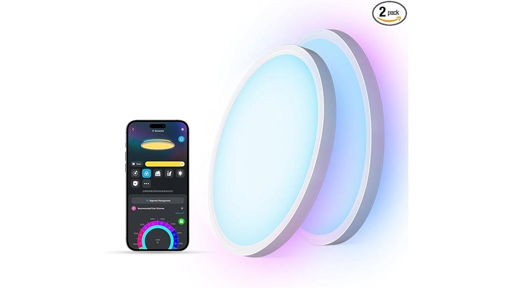 govee rgbic ceiling lights