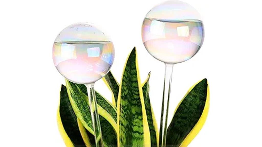 large 13 oz plant watering globes