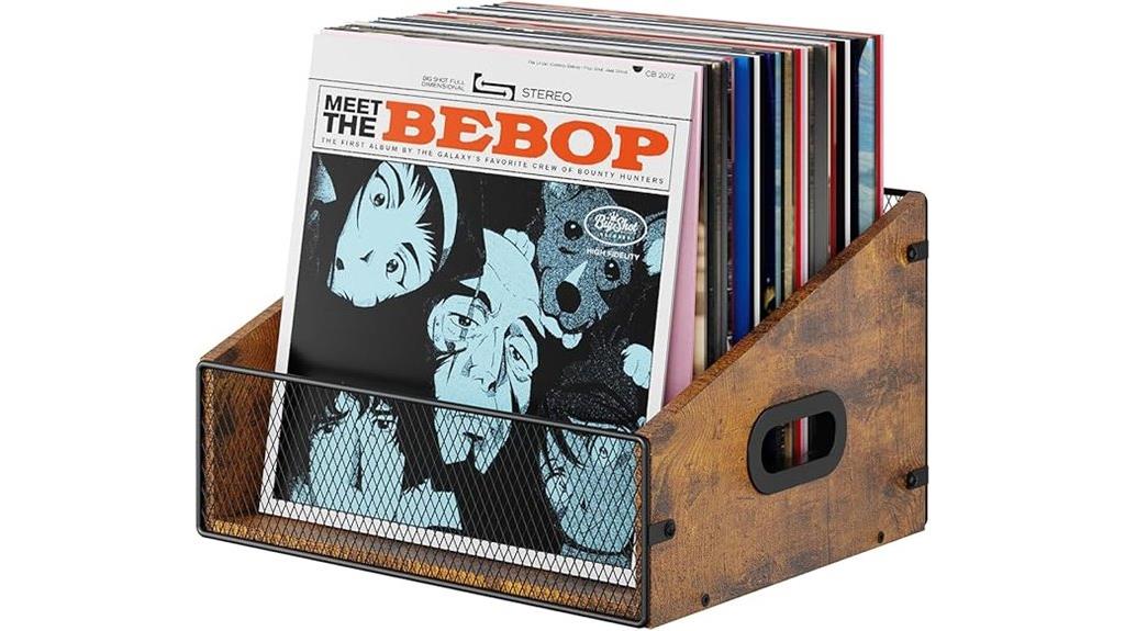 portable vinyl record organizer