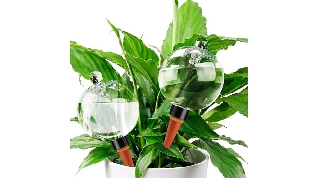 two 19 ounce watering globes