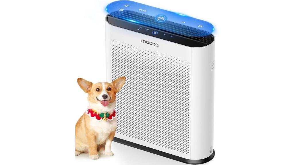 large room hepa purifier