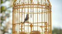 luxurious stylish bird cages