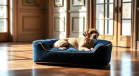 luxury dog beds collection