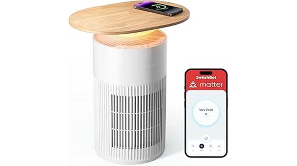 multi function air purifier