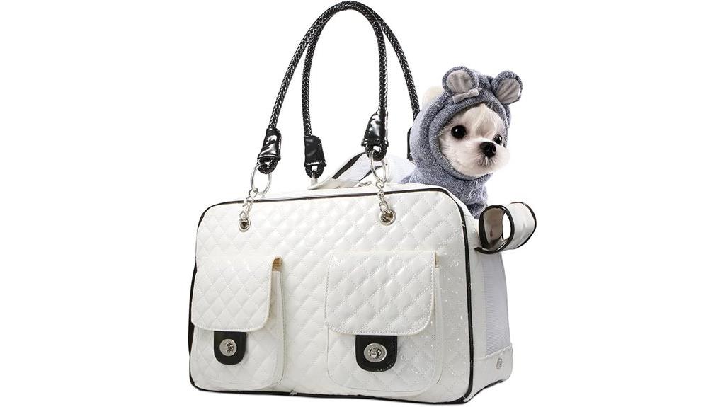 pet carrier airline approved