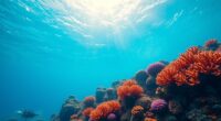 sunscreen impacts coral health