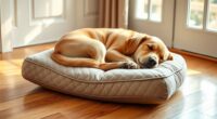 top orthopedic dog pillows