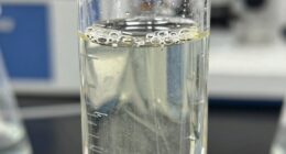bubble interference increases turbidity