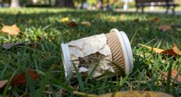 biodegradable does not equal easy disposal