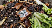 decomposing organic waste odor