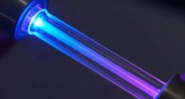 electrophoresis outperforms chromatography
