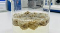 flocculant failure causes early