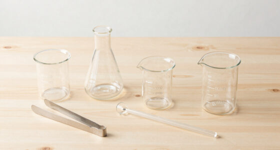 12 Best Laboratory Glassware Sets in 2026