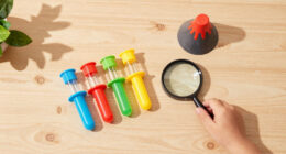 13 Best Educational Science Kits for Kids in 2026