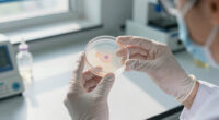 A Tiny Cell That Broke A Big Rule Of Biology