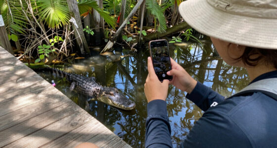 Alligators injure three, one fatally, in string of attacks in Florida