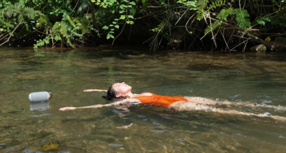 Florida woman swimming in river killed in rare alligator attack at state forest