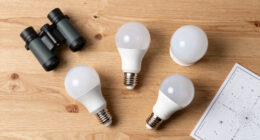 LEDs’ Potential To Save Our Night Skies