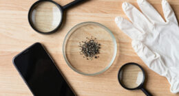 What Do We Know About The Microplastics Inside Us?