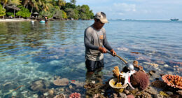 Bomb Fishing Is Wreaking Havoc On Indonesia's Coral Reefs